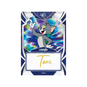 Kakawow Cosmos Warner Bros. 100thAnniversary All-Star2024 Collection Box