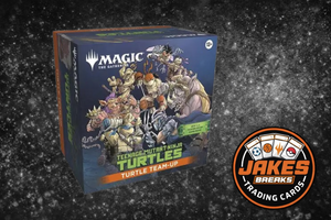 Magic: The Gathering - TMNT - Turtle Team-Up.